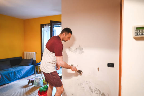 Best Professional Mold Removal  in Gibson, AR